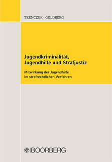 Jugendkriminalitaet-Buch